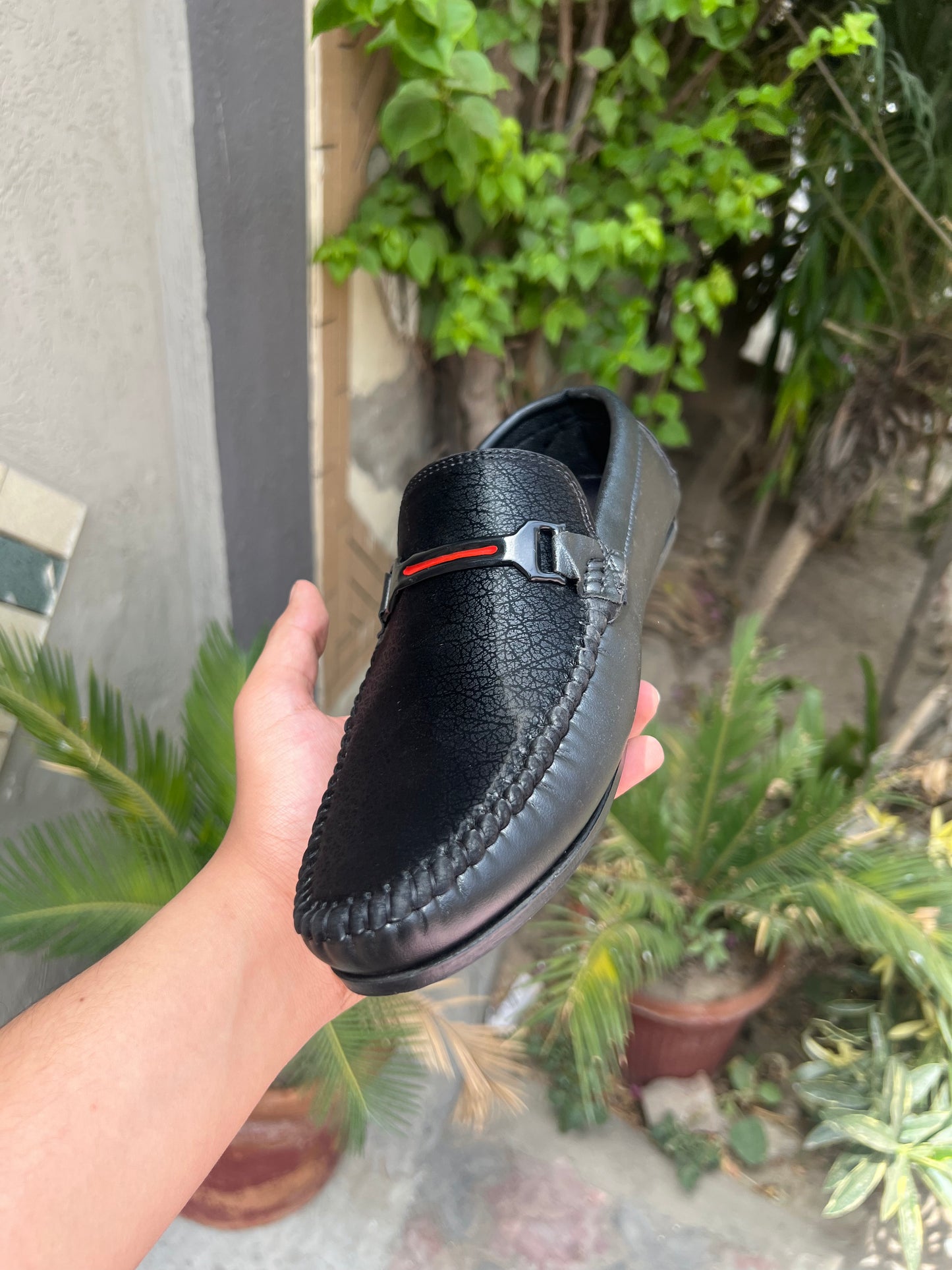 Black mamba