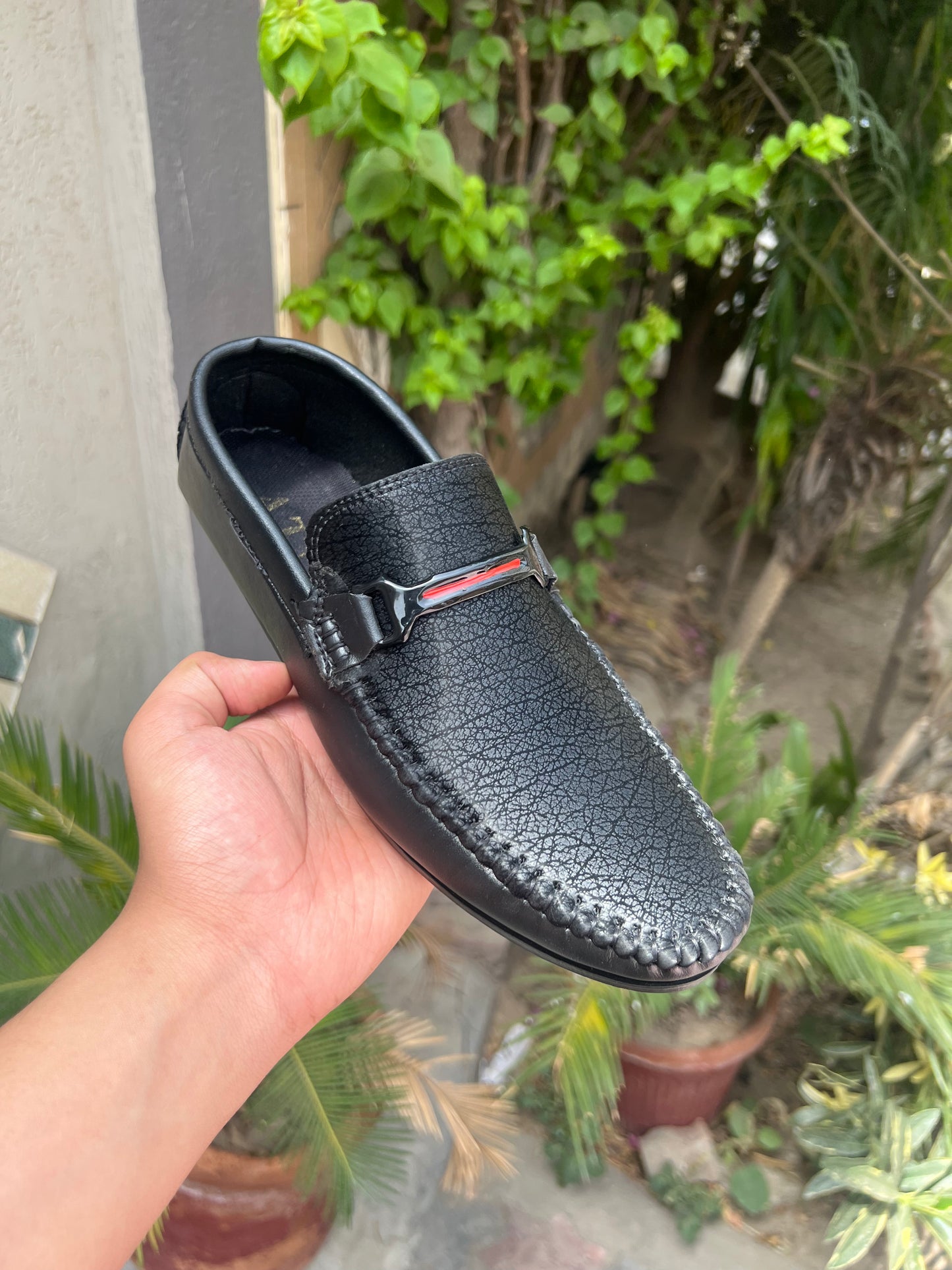 Black mamba